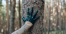 Man Wearing Glove Touching Tree Trunk In Forest