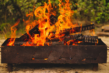 Wall Mural - Burning firewood on the barbeque grill outdoors