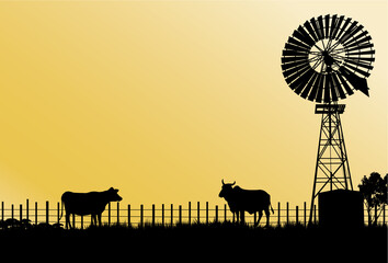 Outback Australia cows and windmill