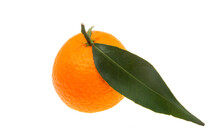 Tangerines With Leaves Isolated