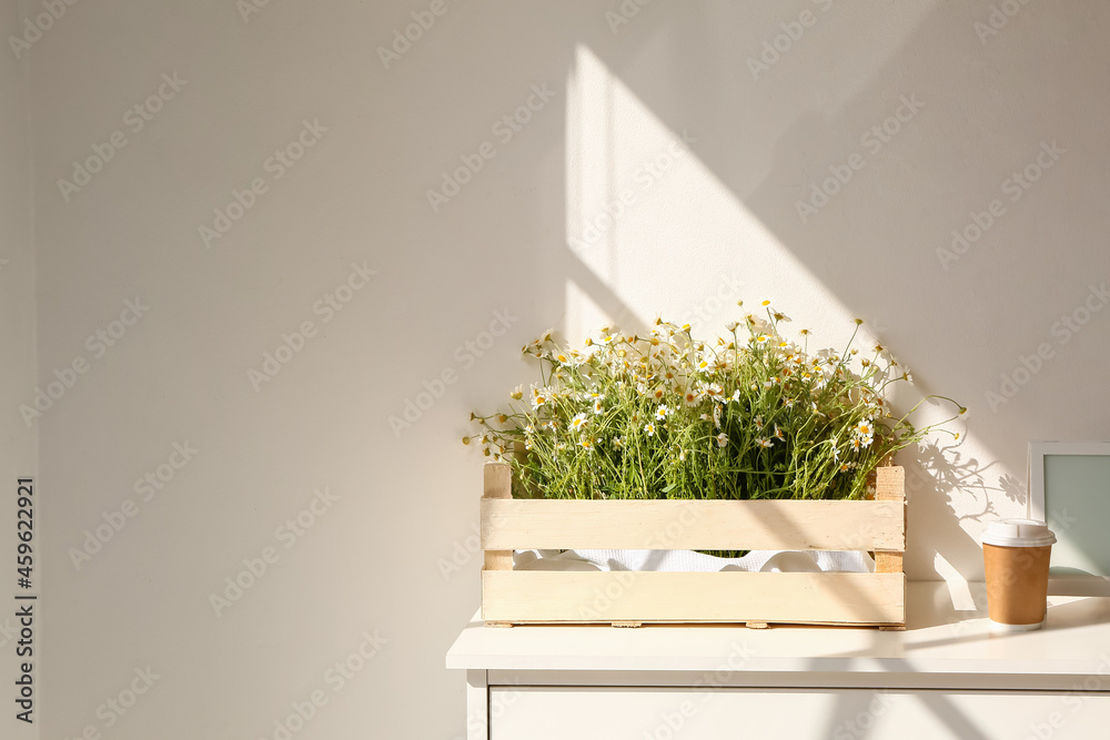Box with chamomiles and cup of coffee on shelf near light wall