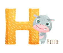 H Letter And Cute Hippo Baby Animal. Zoo Alphabet For Children Education, Home Or Kindergarten Decor Cartoon Vector Illustration