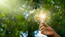 Hand Holding Light Bulb Against Nature On Green Forest With Butterfly.  Energy Sources For Renewable, Sustainable Development. Earth Day. Ecology And Environment Concept.