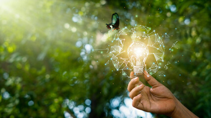 Wall Mural - hand holding light bulb against nature on green forest with butterfly. energy sources for renewable,
