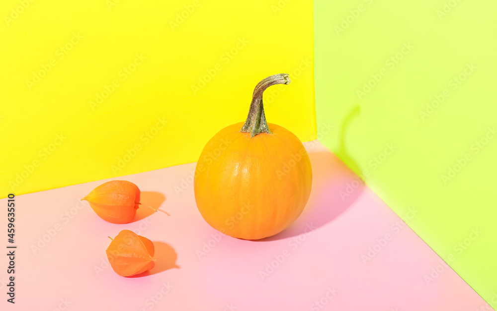 Ripe pumpkin and physalis on color background
