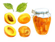 Watercolor clip art. Apricot jam in a glass jar, whole apricot and slices. Hand drawing.