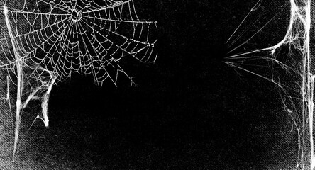 Wall Mural - Spiderwes isolated on black grunge background. Cobweb frame. Halloween party. Texture of spider web. Halloween decoration. Gothic style