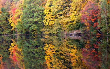 Fototapete - A riot of autumn colors and the reflection of colorful trees in the lake