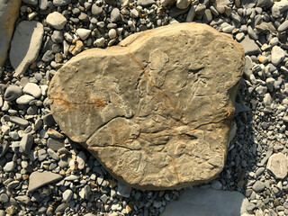 Poster - a large stone lies on a sea pebble on the beach. piece of rock