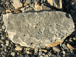 Poster - a large stone lies on a sea pebble on the beach. piece of rock