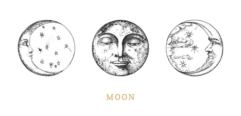 Wall Mural - Moon, Crescents set, drawings in engraving style.