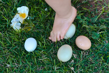 Child Walking On Eggs In The Garden, Child Walking On Eggshells