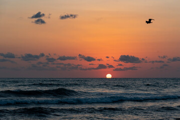 Wall Mural - sunset on the sea