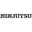 Ninjutsu