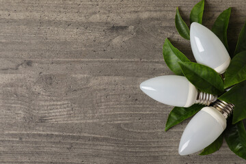 Canvas Print - Energy saving bulbs with leaves on gray textured background