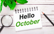 On A Light Wooden Background, A Magnifying Glass, A Pencil, A Green Plant And A White Notebook With Text HELLO OCTOBER. Business Concept