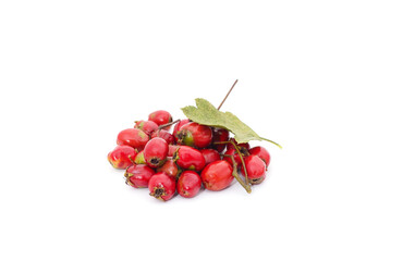 Poster - Hawthorn berries with leaves.