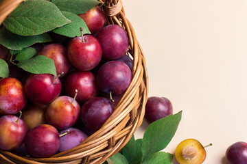 ripe blue-violet sweet plums  on them in a garden wicker basket with foliage.