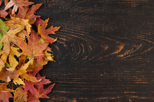 Orange Autumn Fallen Leaves On A Dark, Textured Vintage Rustic Wooden Background. View From Above. Frame For Text