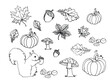 Liście, jesień, ilustracja, projekt, rysunek , szkic 