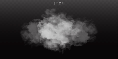 Wall Mural - White fog or smok. Realistic fog. Atmosphere mist effect and smoke clouds isolated on transparent background. Vector abstract cloud texture