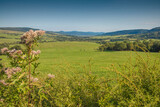 Fototapeta  - Stunning panorama in Krempna area (Beskid Niski Mountains - Poland) 