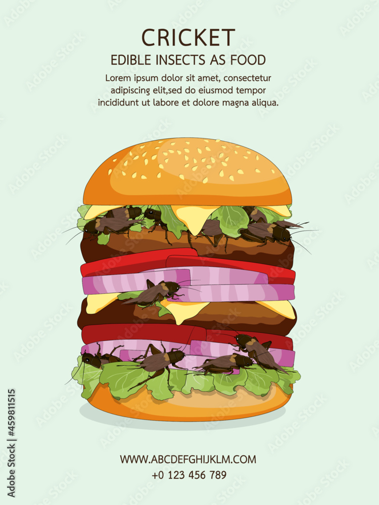 Different Insect Menu Crickets insects for edible eating as alternative food. Burger item ...