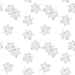 Wall Mural - Seamless pattern of black and white maples leaves