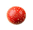 Fly agaric isolated on white background, top view.