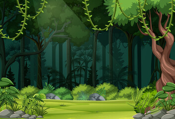 Wall Mural - Nature forest landscape background
