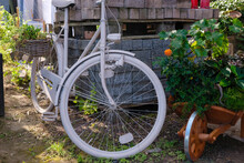 White Retro Bicycle With The Bottle Dynamo Device For The Headlight On The Front Wheel. The Bicycle Is A Garden Decoration. Local Tourism In Germany.