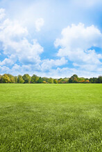 Beautiful Green Mowed Lawn With Trees And Sky On Background - Im