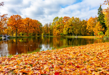 Wall Mural - Pond in Alexander park in autumn, Pushkin (Tsarskoe Selo), Saint Petersburg, Russia