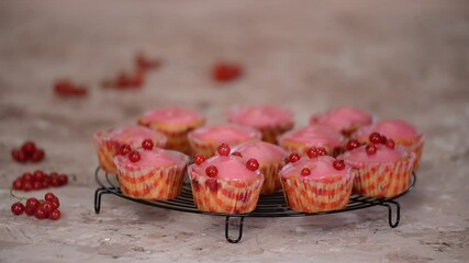 Wall Mural - Woman decorated a tasty muffins With Red Currants Berries.	
