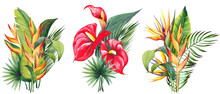 Tropical Floral Arrangements With Red Anthurium, Strelitzia, Heliconia And Palm Leaves. Watercolor Illustration On White Background.