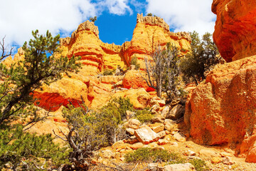 Sticker - The landscapes of the west of the USA