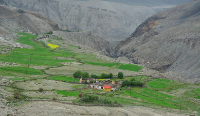 Wall Mural - Mountain scenery of Ladakh, Northern India