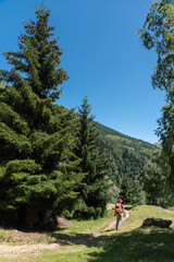 Wall Mural - Hiker between Bellwald and Aspi-Titter suspension bridge near Fieschertal