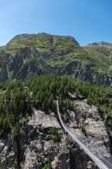 Wall Mural - Aspi-Titter suspension bridge between Bellwald and Fieschertal