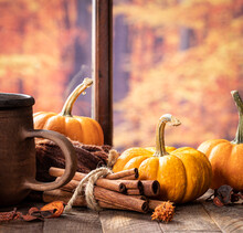 Mini Pumpkins With Autumn Decorations
