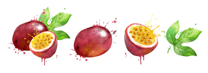 Wall Mural - Watercolor illustration set of passionfruit