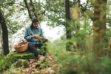 Woman Attentively Looking At Lactarius Mushroom In Woods