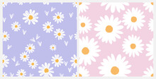 Set Of Daisy Flower Seamless Pattern With Purple And Pink Backgrounds Vector Illustration. Cute Floral Print.