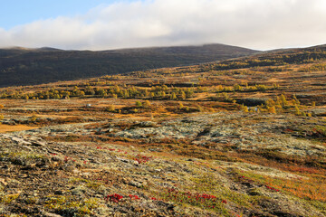 Sticker - Forollhogna national Park