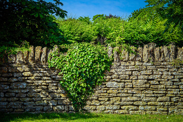 Ancient  moss-covered stone wall with  heart of ivy growing on it with overgreen trees behind and long shadows at golden hour.