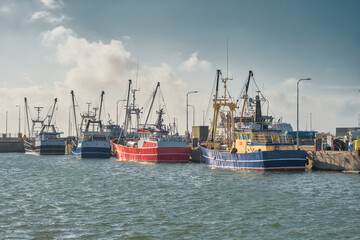 Wall Mural - Fishing trawlers vessels in Esbjerg Harbor, Denmark