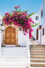 White Buildings With Bougainvillea Flowers In Lindos On Rhodes Island, Greece