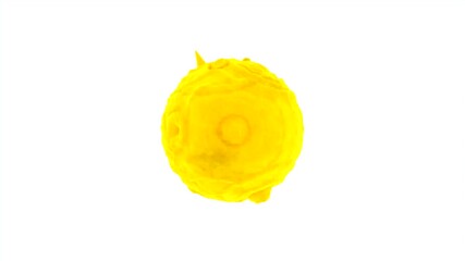 Poster - Vibrations on surface of ball on white background. Design. 3D colored ball rotates and oscillates on surface. Looped waves and vibrations on surface of ball