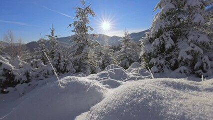 Fototapete - Winter fairy tale in the forest and mountains. Camera moves over snowy hills, snow glistens in morning sun. Winter in the mountains, gimbal shot