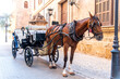 Horse and sleigh ride on Palma de Mallorca street